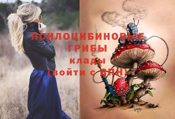 jwh Аркадак