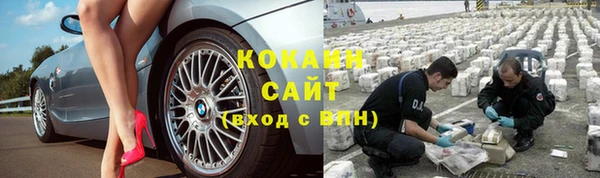 винт Арсеньев