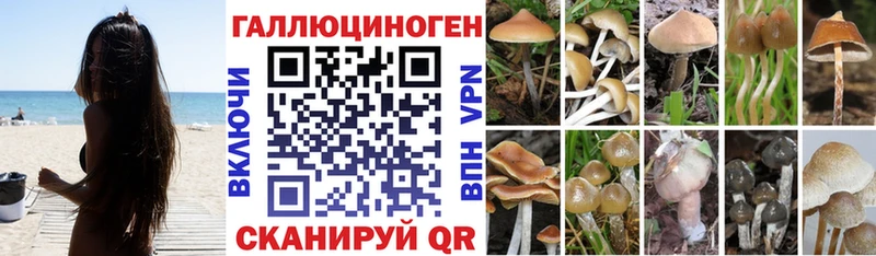 цены наркотик  Артёмовский  Псилоцибиновые грибы Psilocybe 